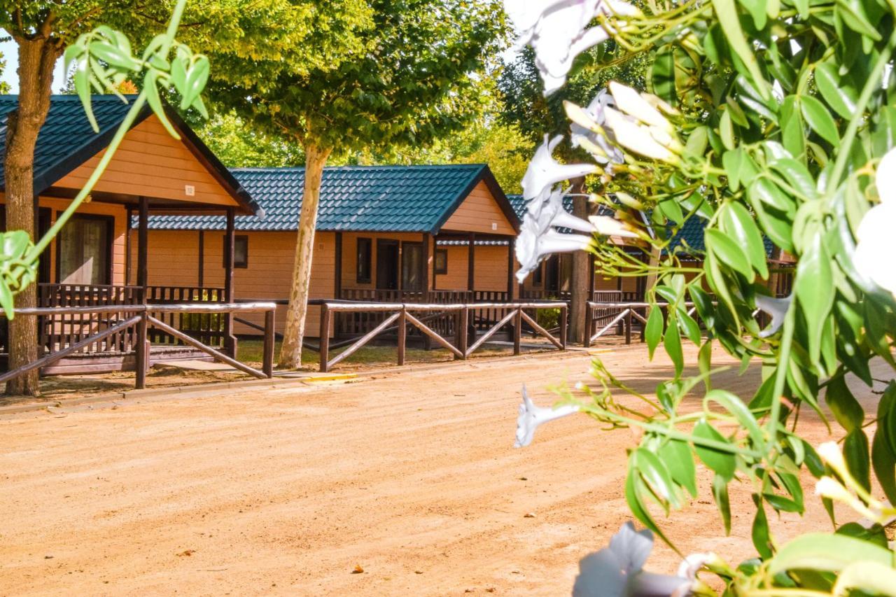 Camping La Aldea 엘로시오 외부 사진